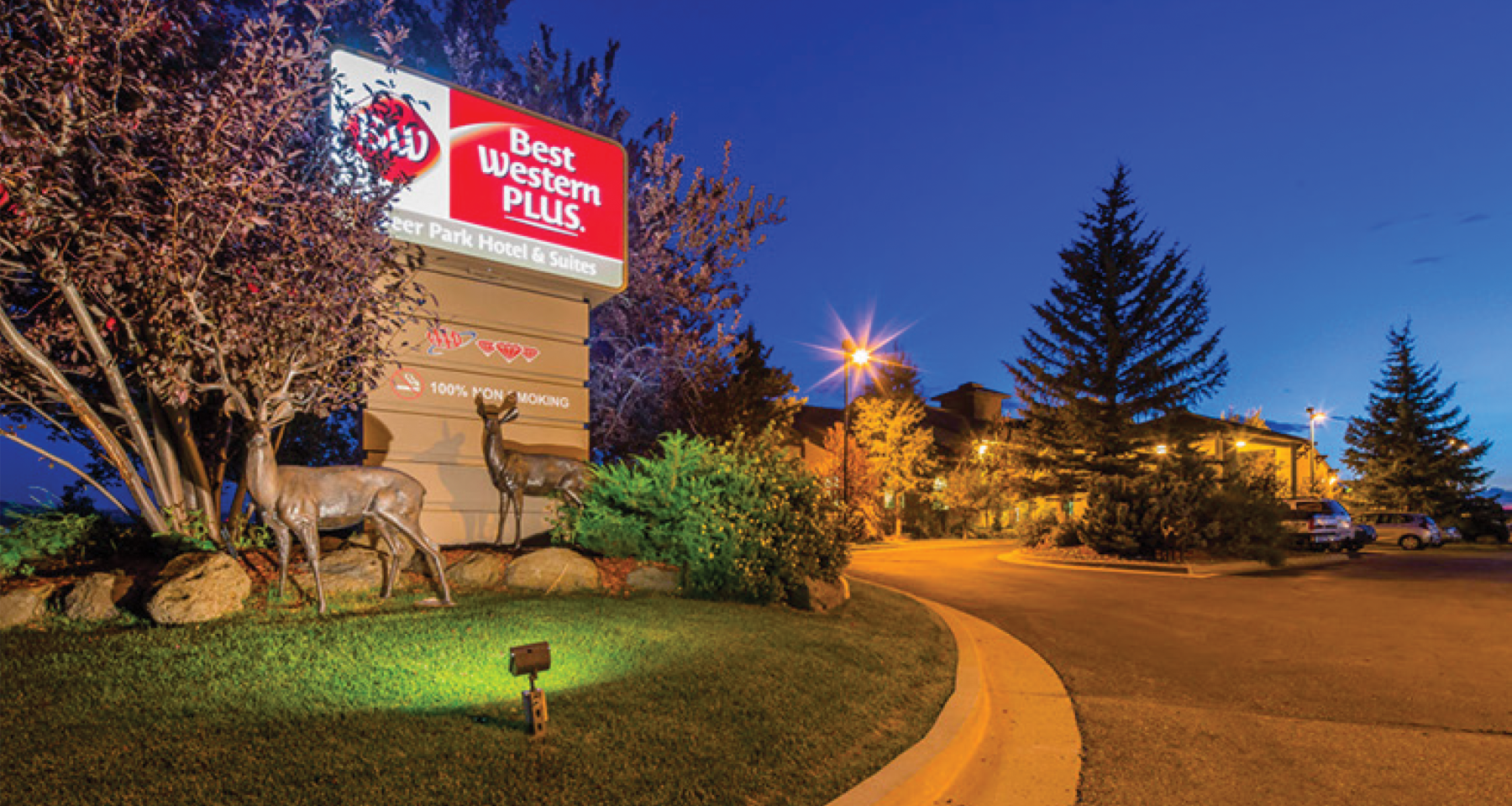 welcome to the deer park hotel & suites photo