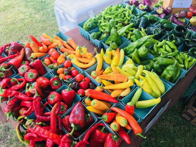 summer peppers photo