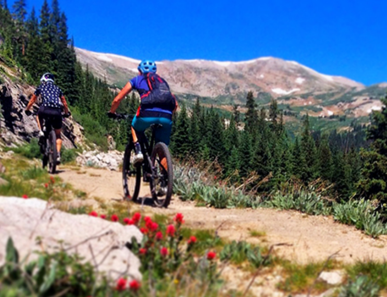 absolute-bikes-colorado