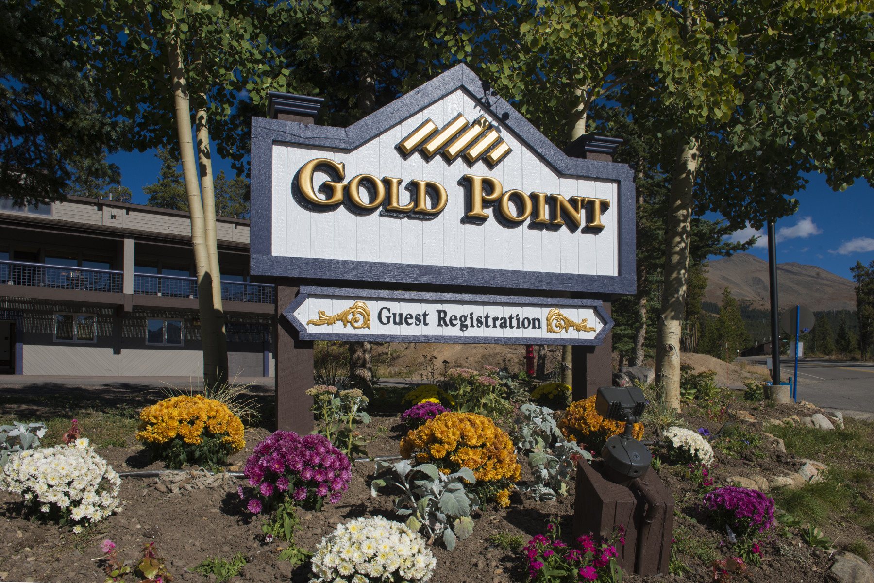 gold point resort photo