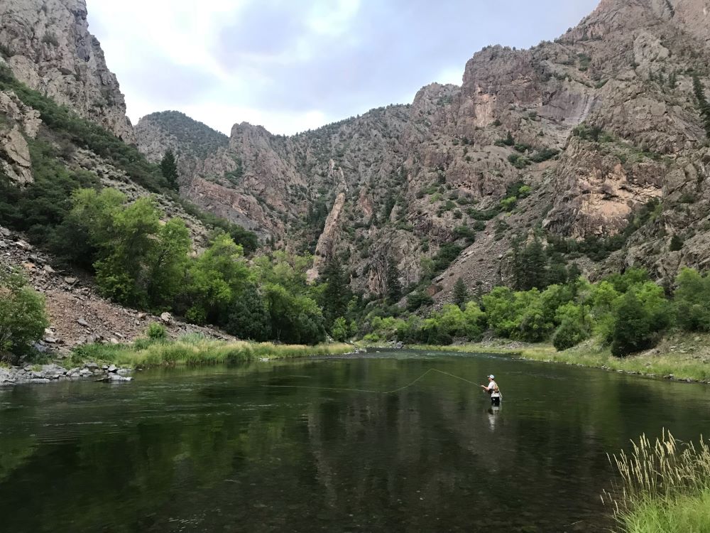 montrose anglers photo