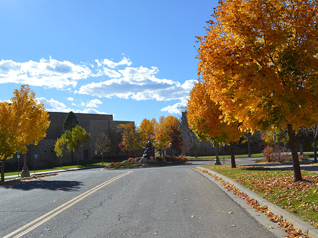 center of southwest studies museum photo