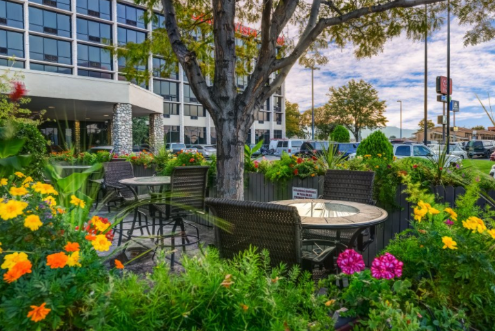 grand vista hotel in grand junction photo