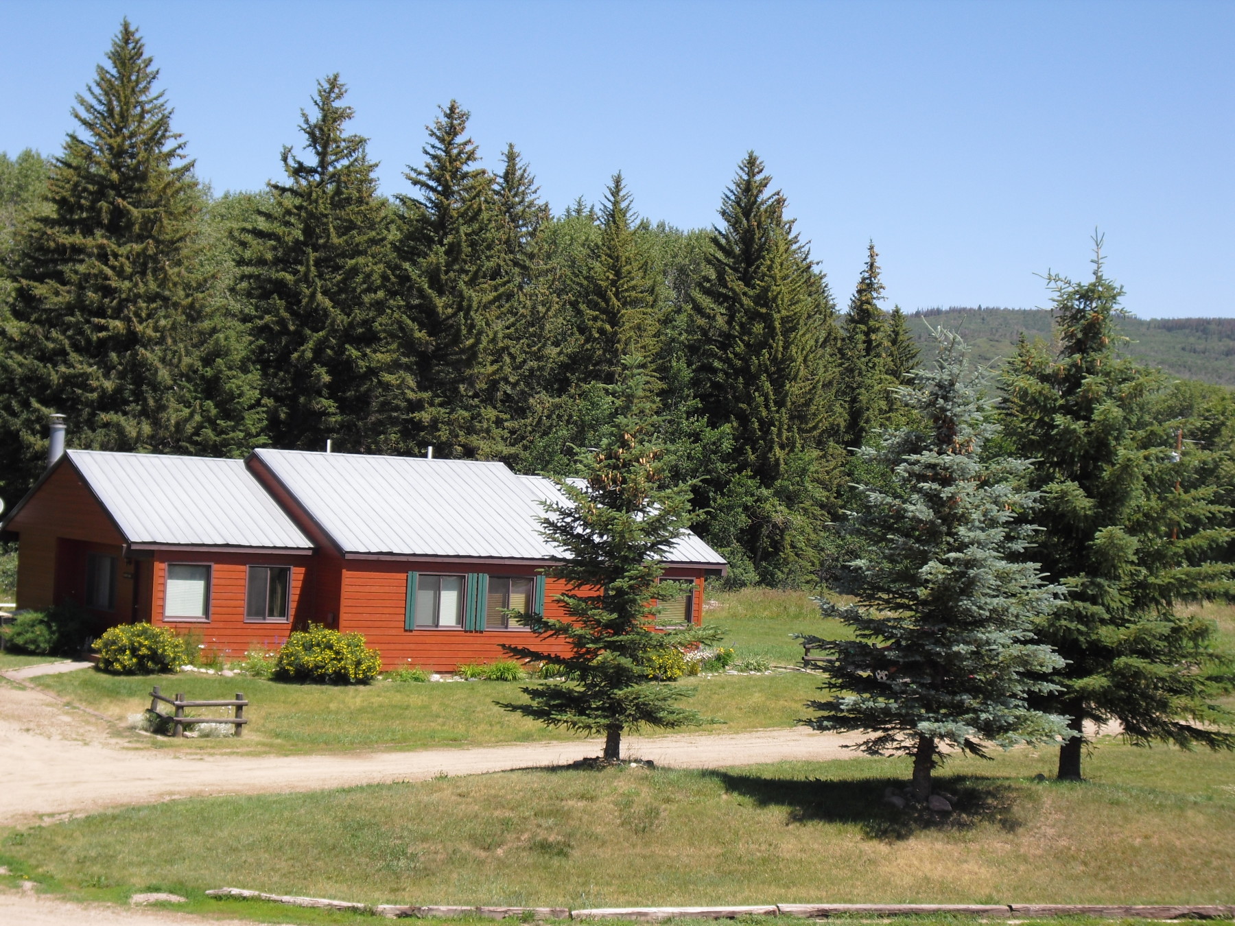 summertime in the mountains photo