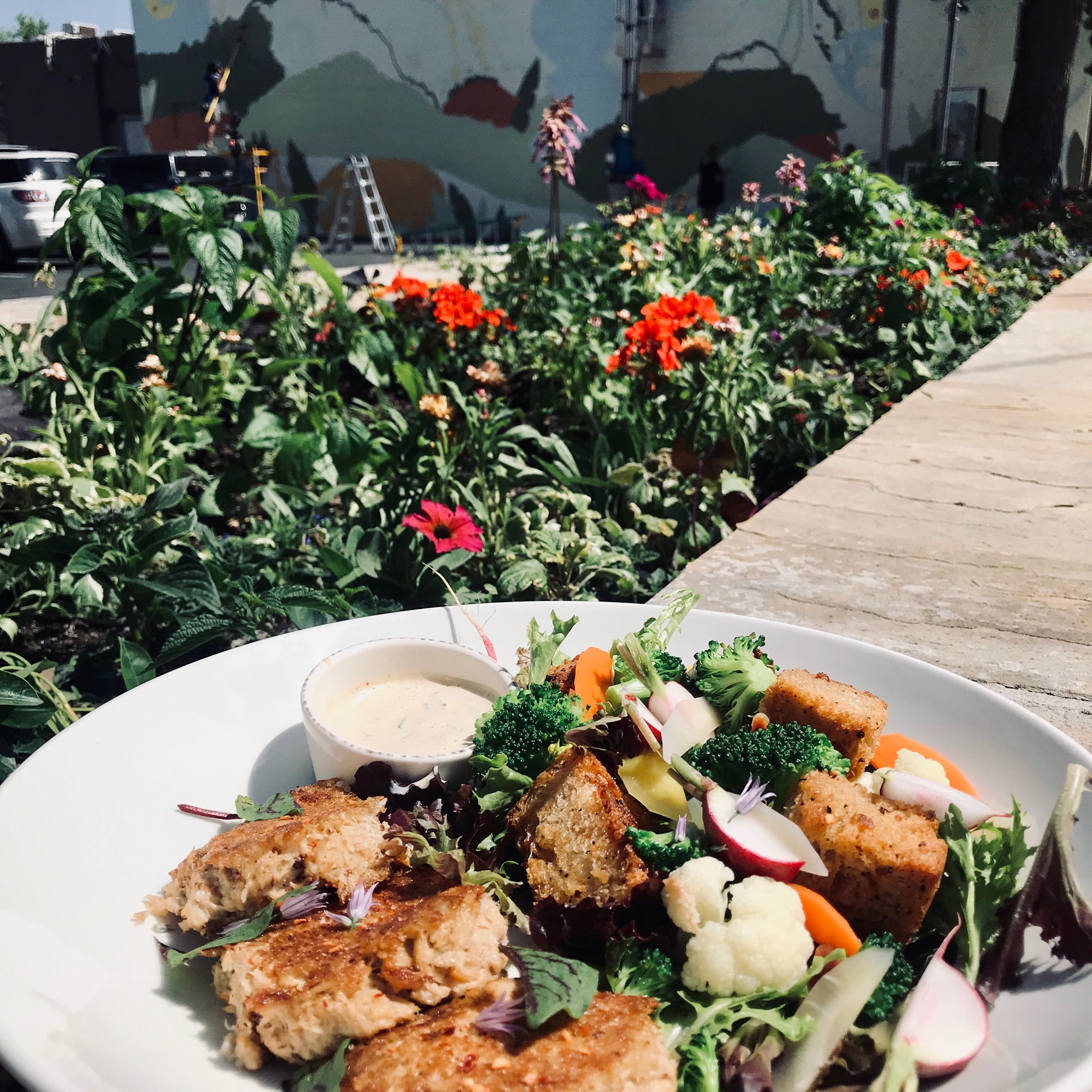 the regional in fort collins, co photo