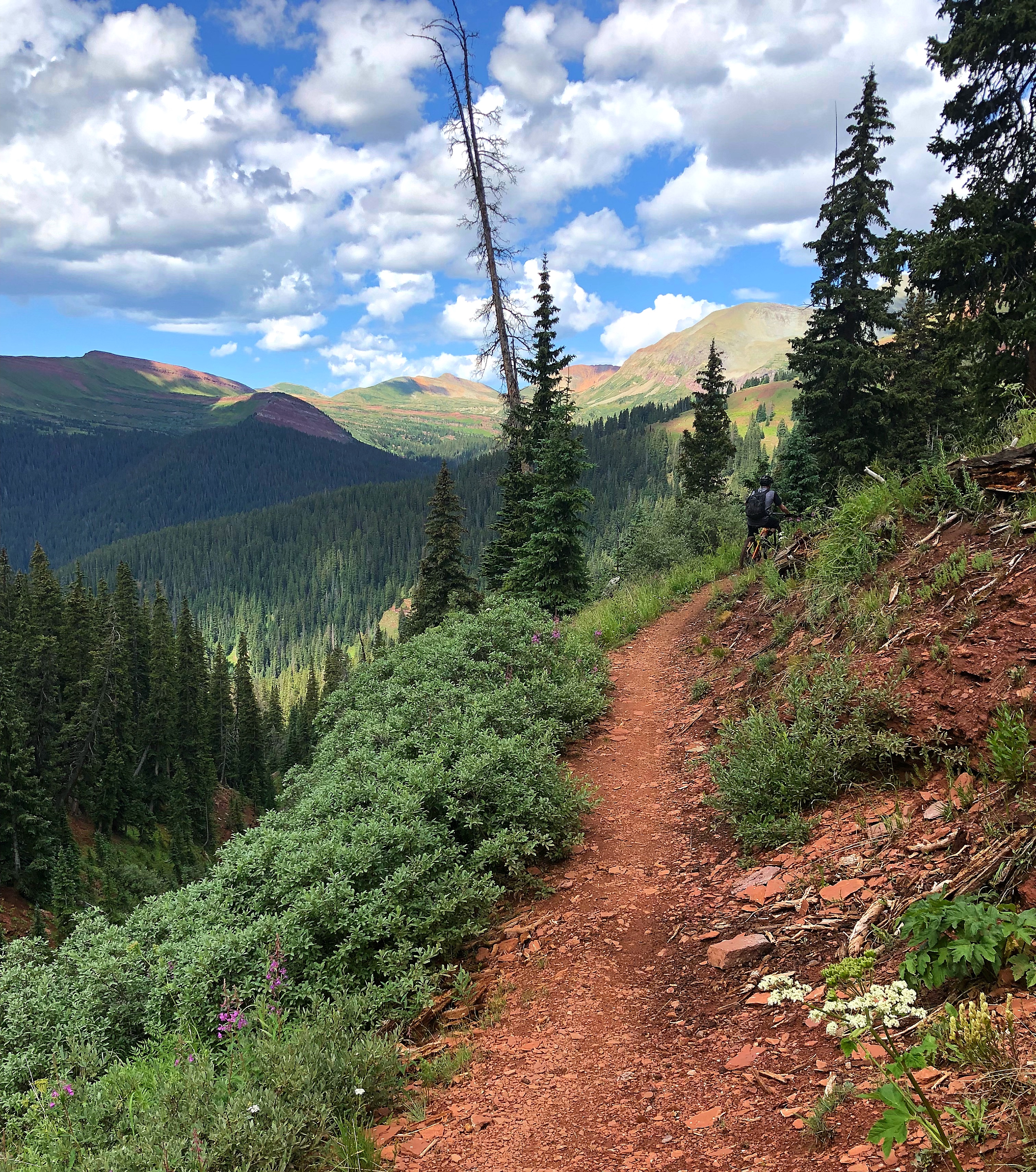 colorado trail photo