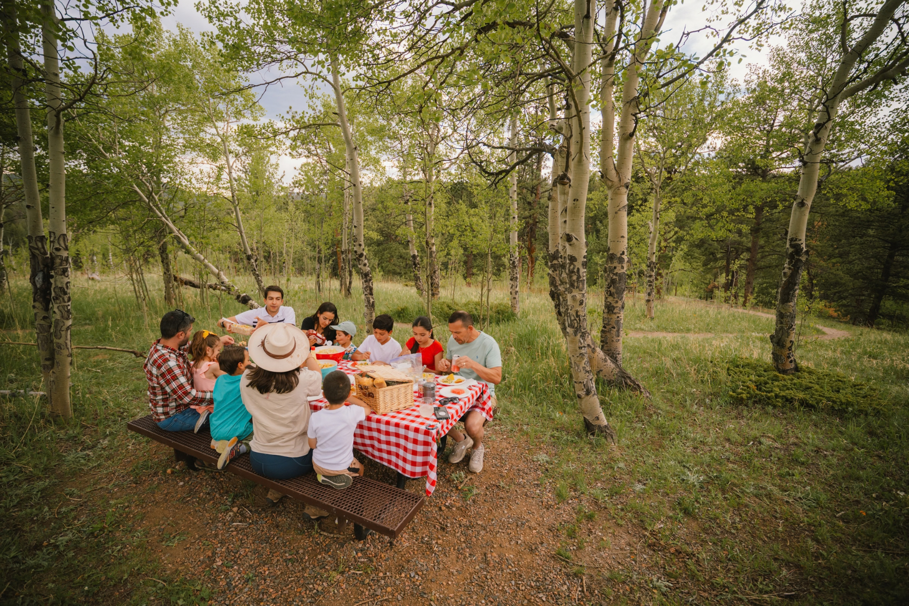 family picnic under aspen trees at golden gate canyon state park photo 7