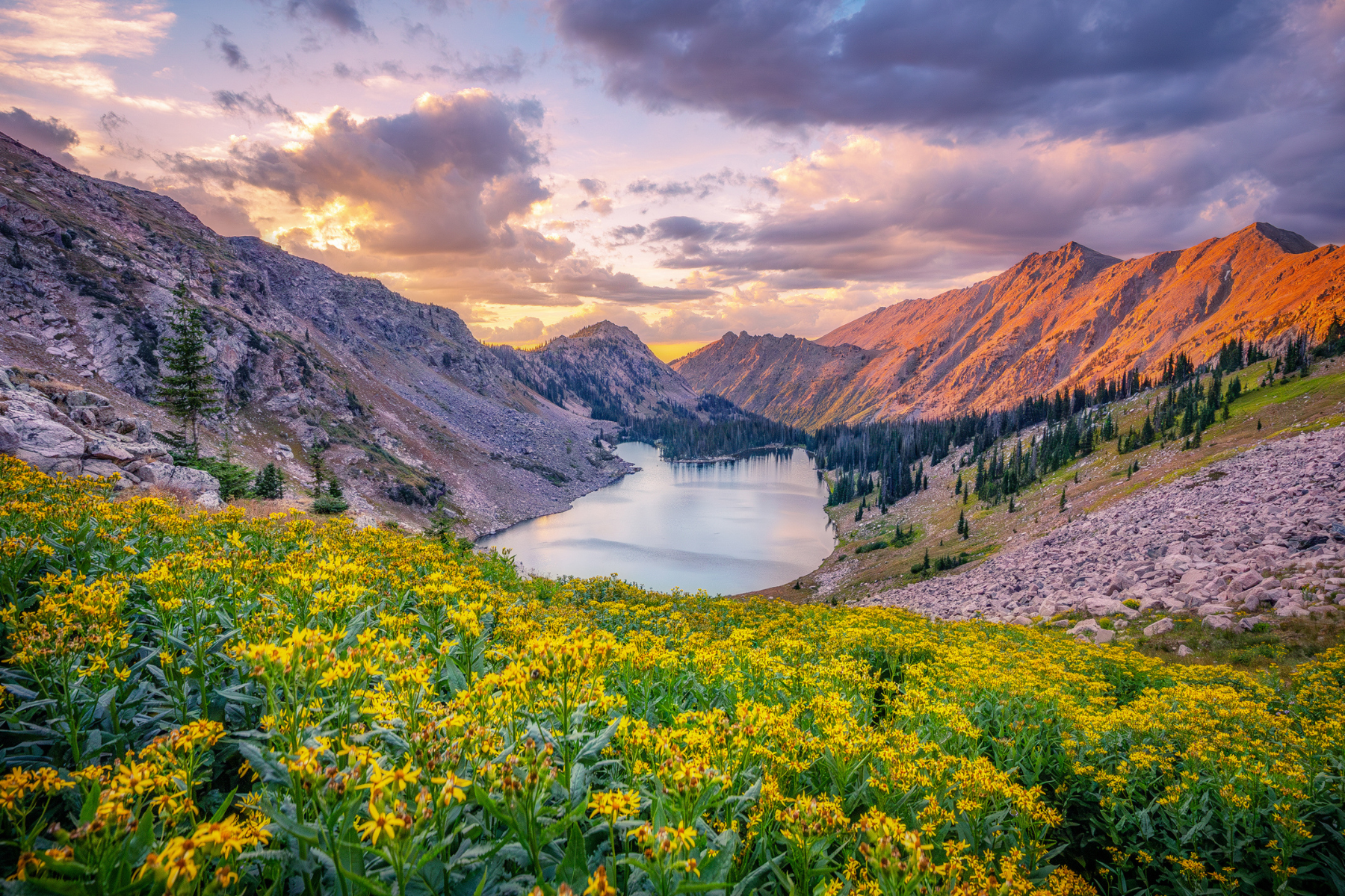 colorado parks and wildlife photo 9