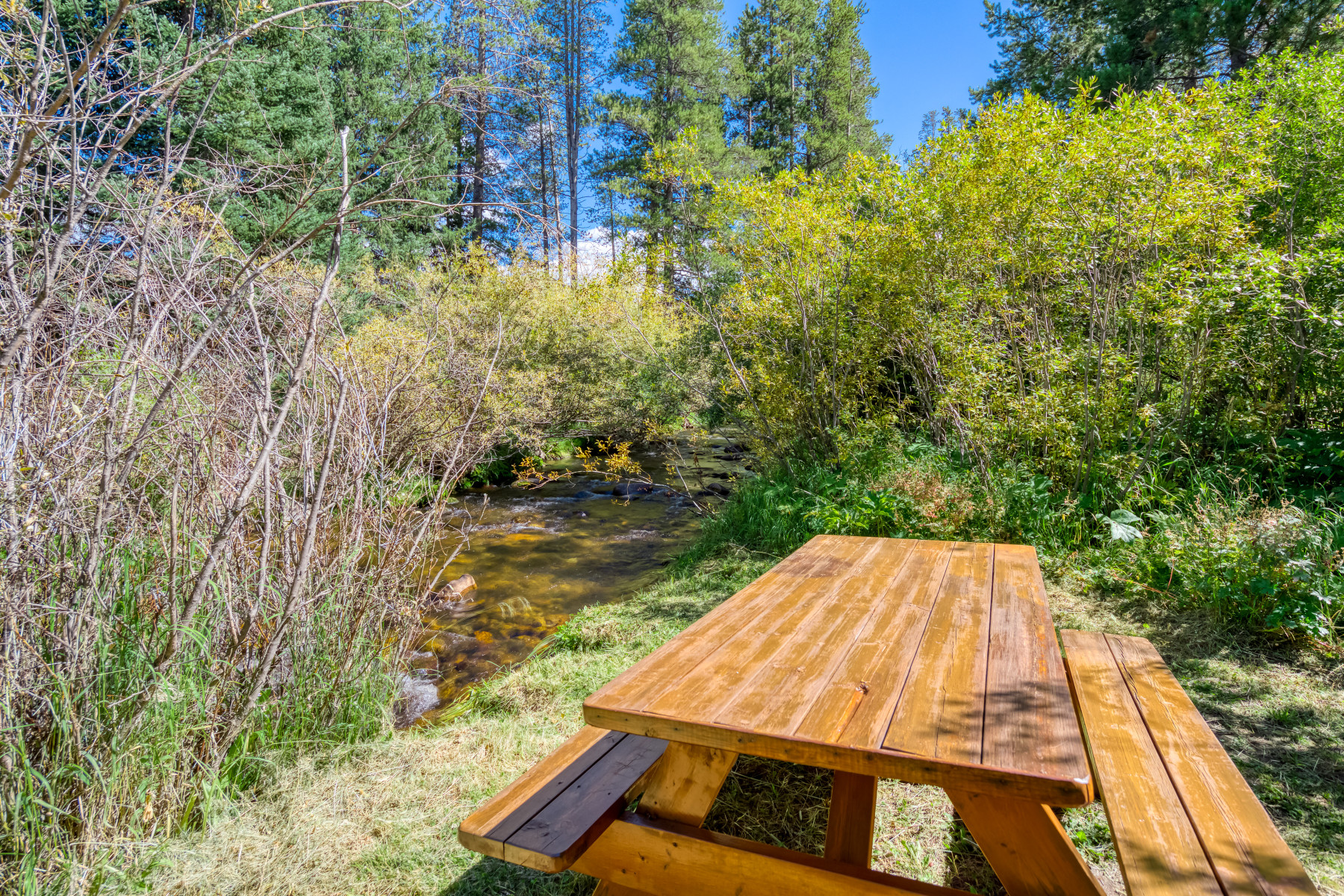 creekside picnic area photo 14