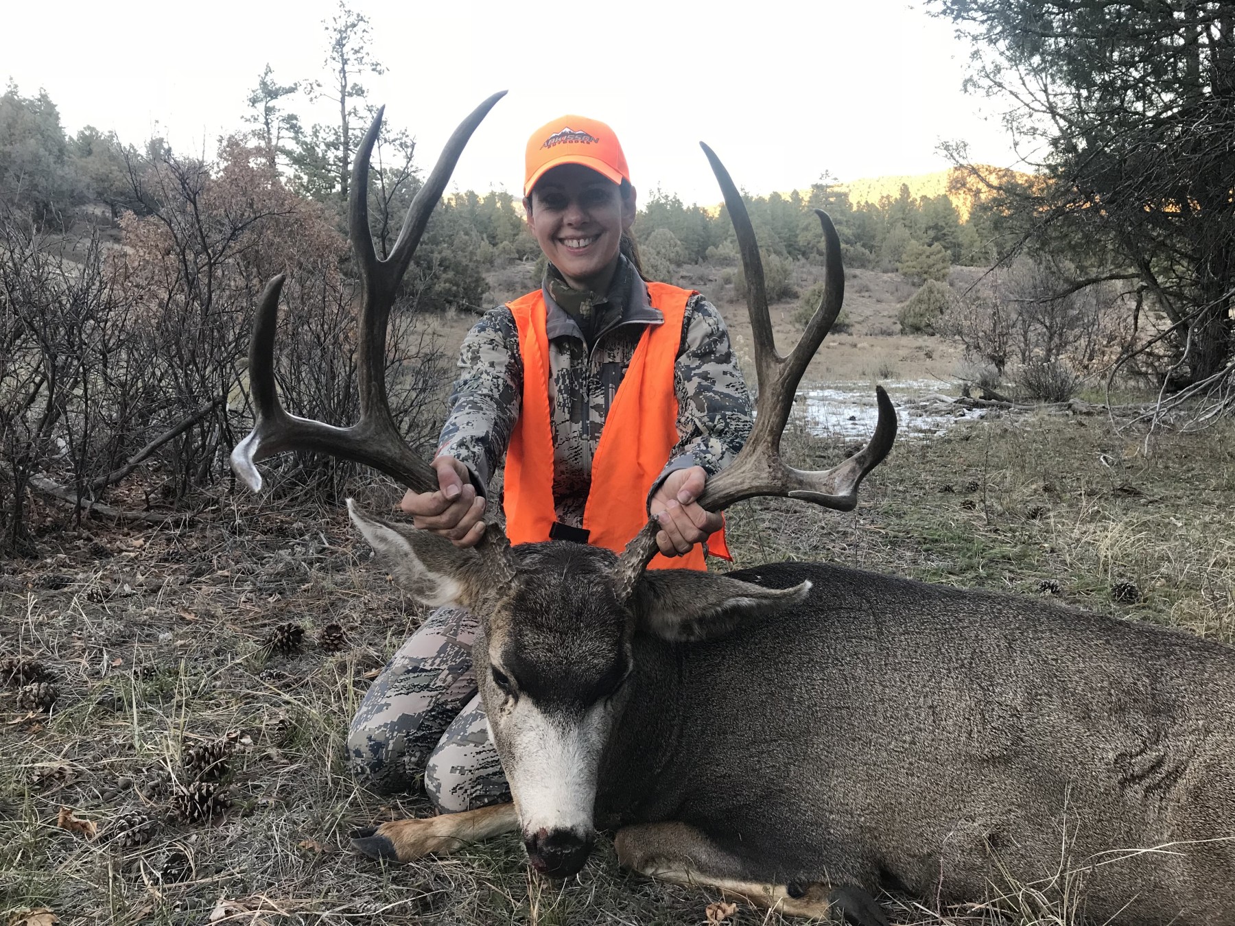 mule deer guided day hunt photo