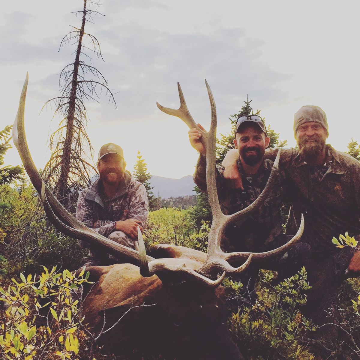 archery guided bull photo