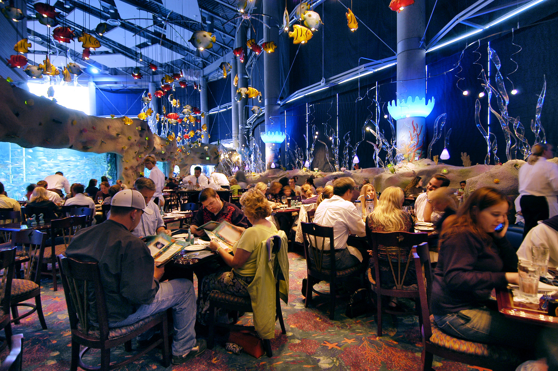 aquarium restaurant photo 2