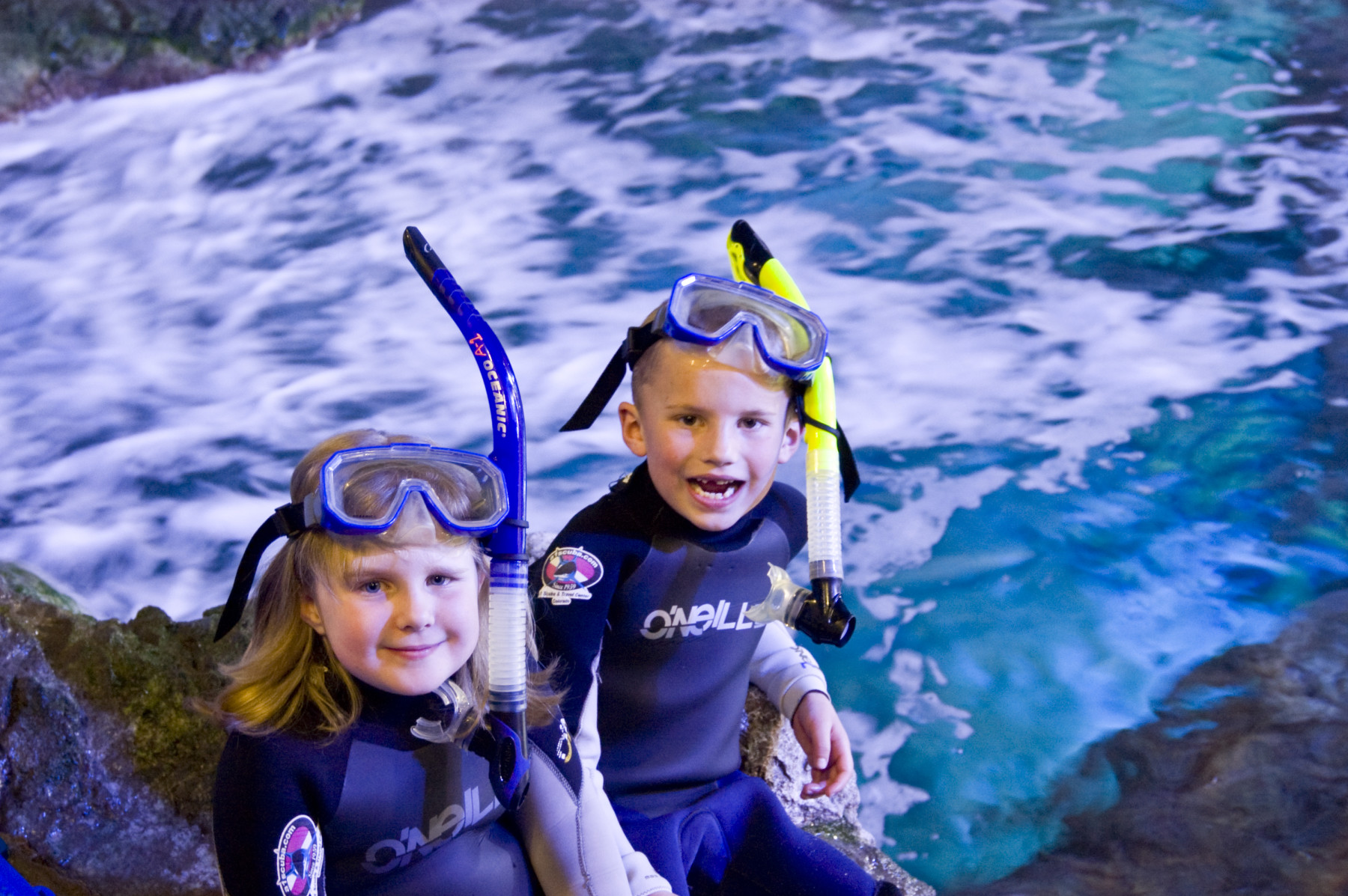scuba programs at the downtown aquarium in denver photo 4