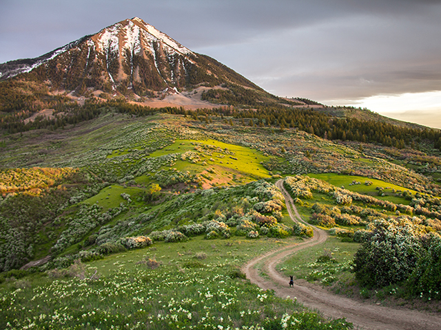 west elk wilderness outside of paonia. photo