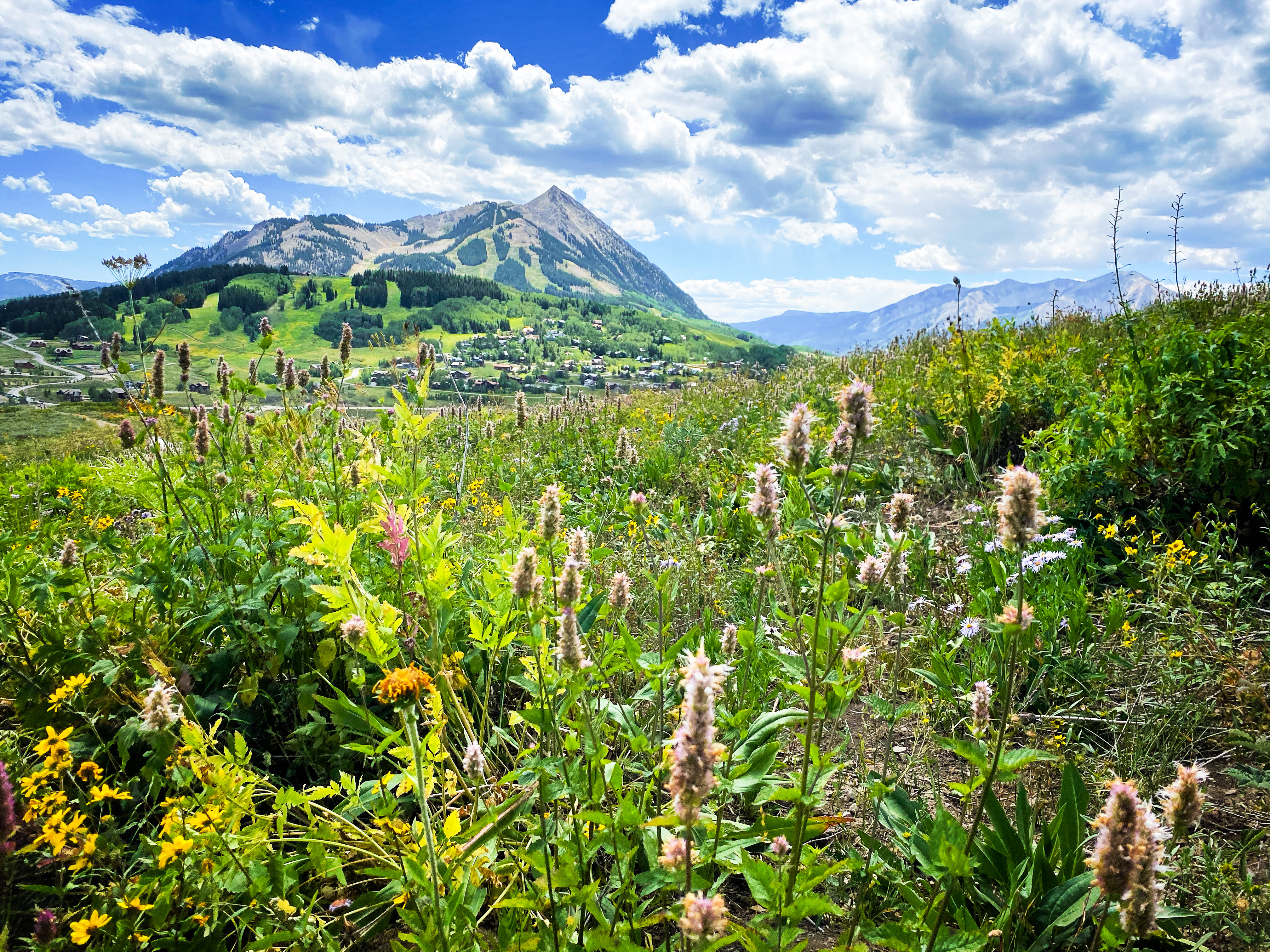 mount crested butte rises above the gunnison valley photo