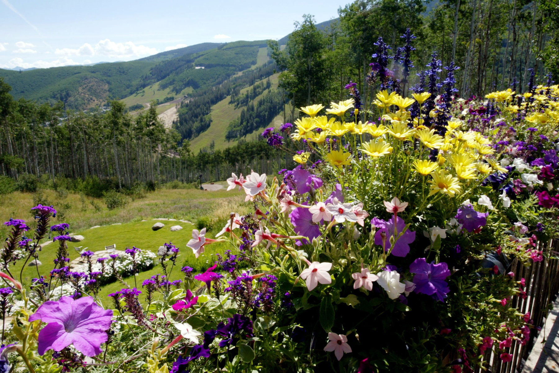 Visit Vail Valley