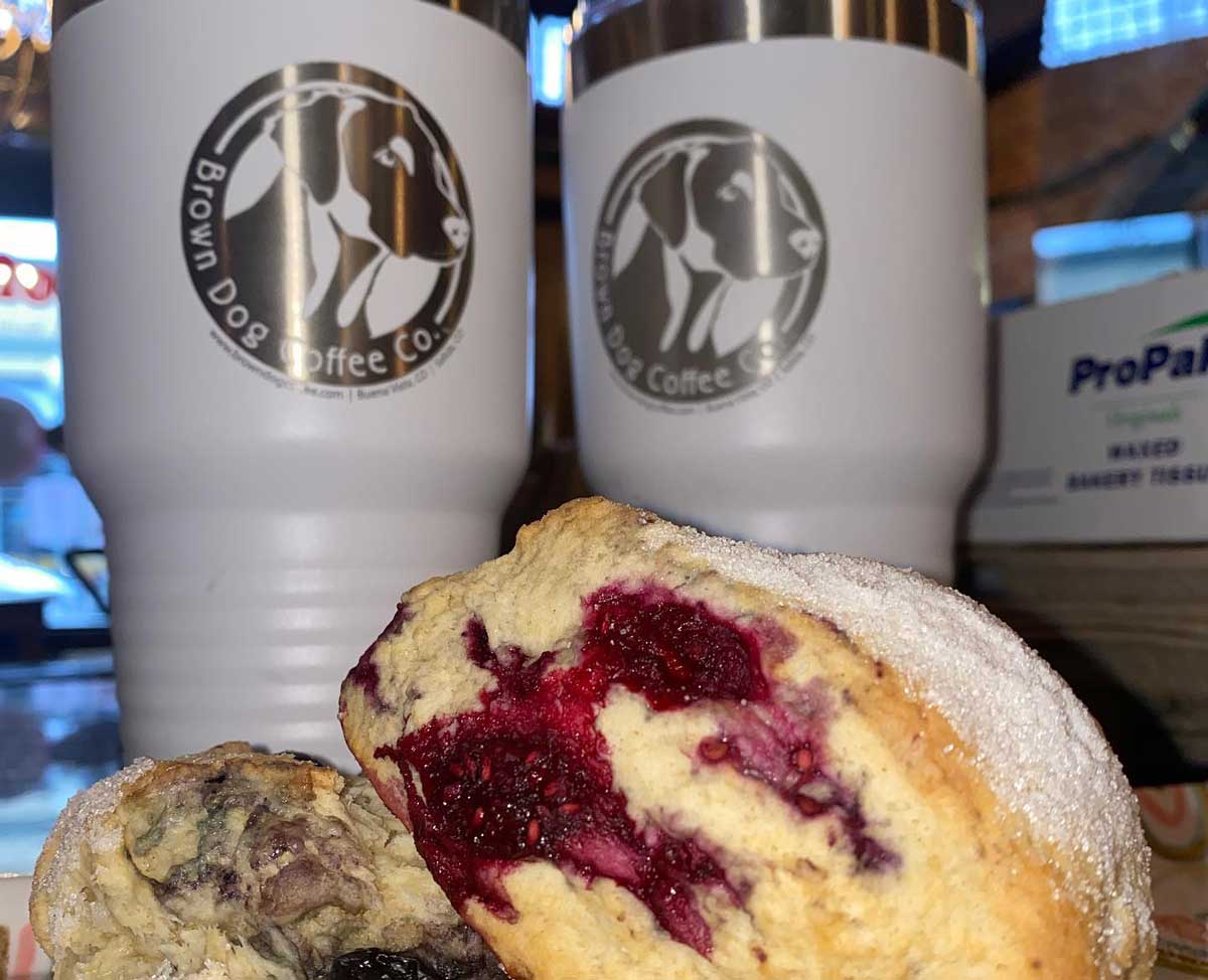 brown dog coffee photo