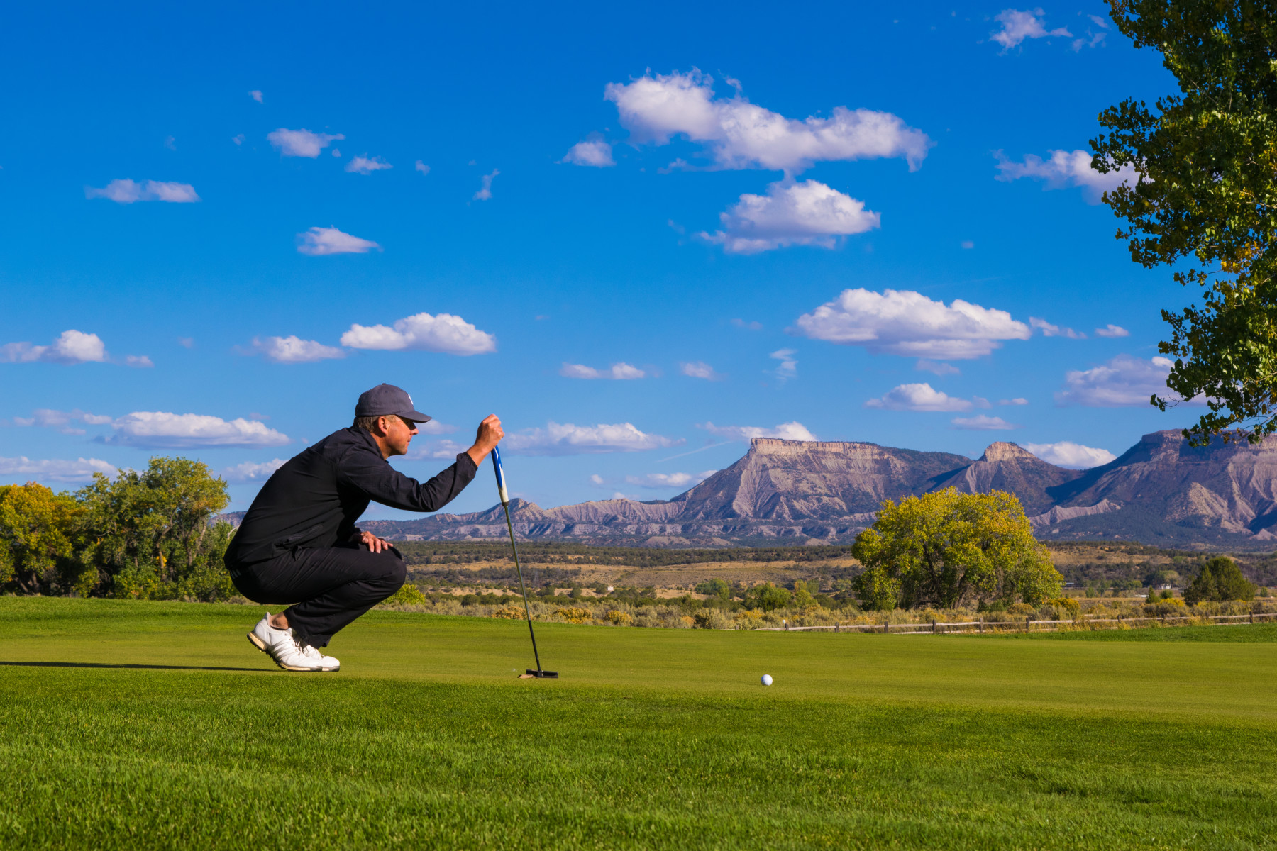 where mesa verde meets the greens photo