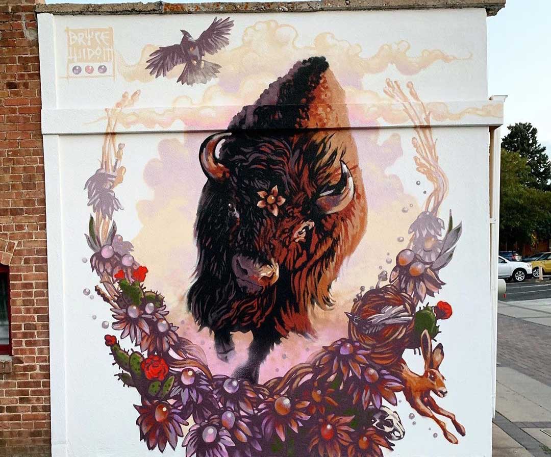 spirit of the plains by bryce widom photo