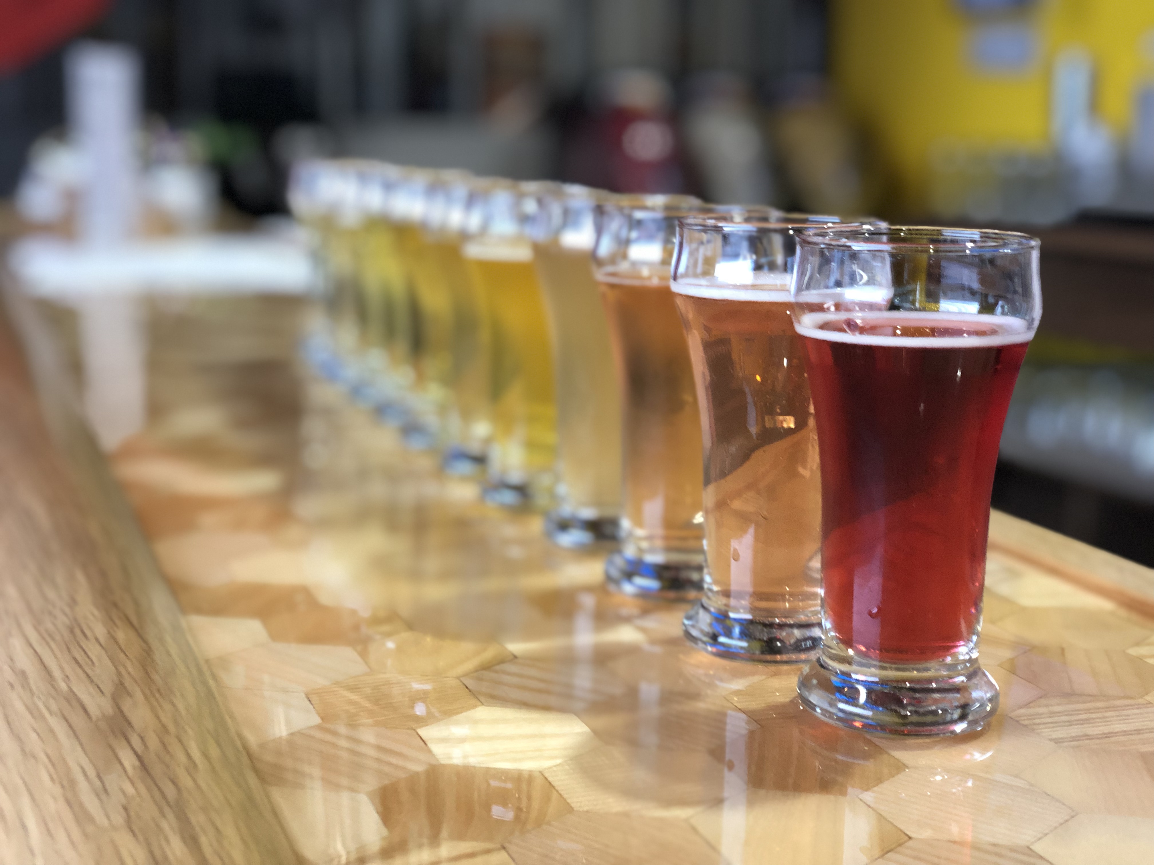 large variety of meads available in tasting room photo