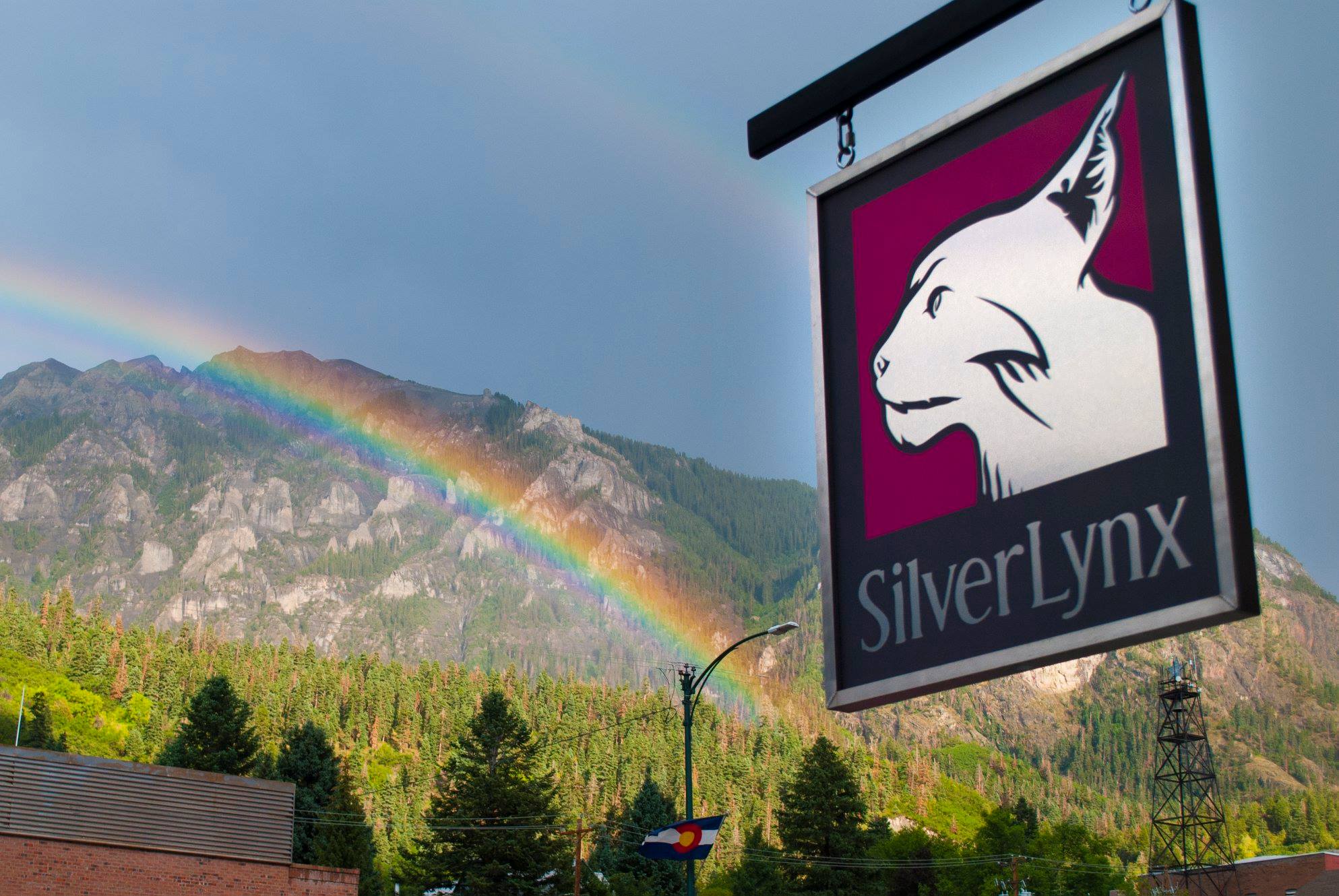 silver lynx, ouray, colorado photo
