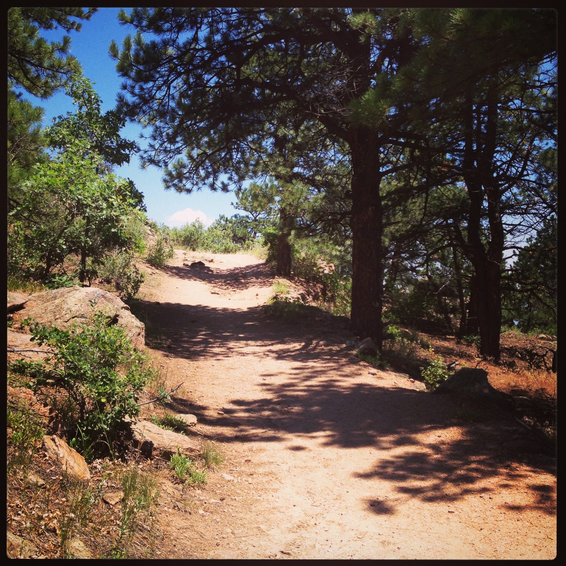 hike thru the pine forests! photo 16