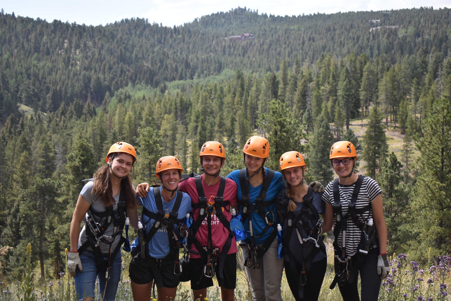 enjoy the wild flowers in the rocky mountains! photo 4