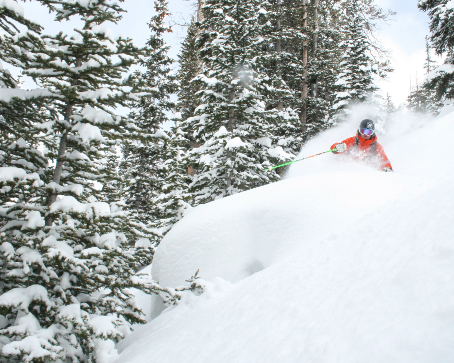 local ski area photo 8