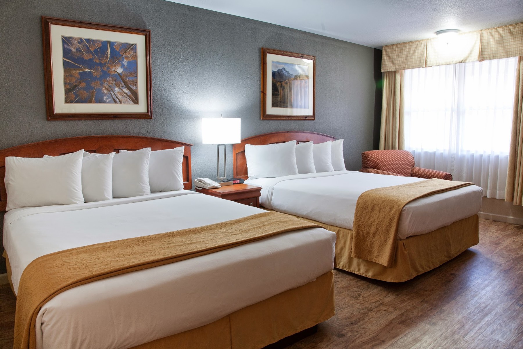 2 queen, pet friendly photo 6