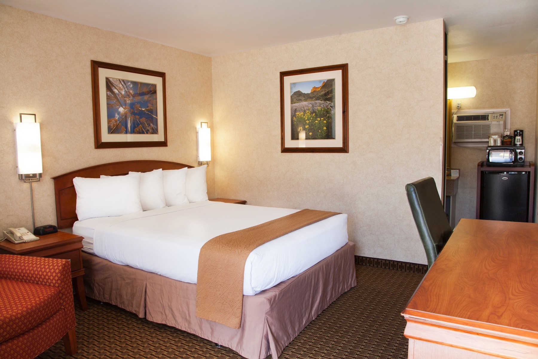 single queen photo 8