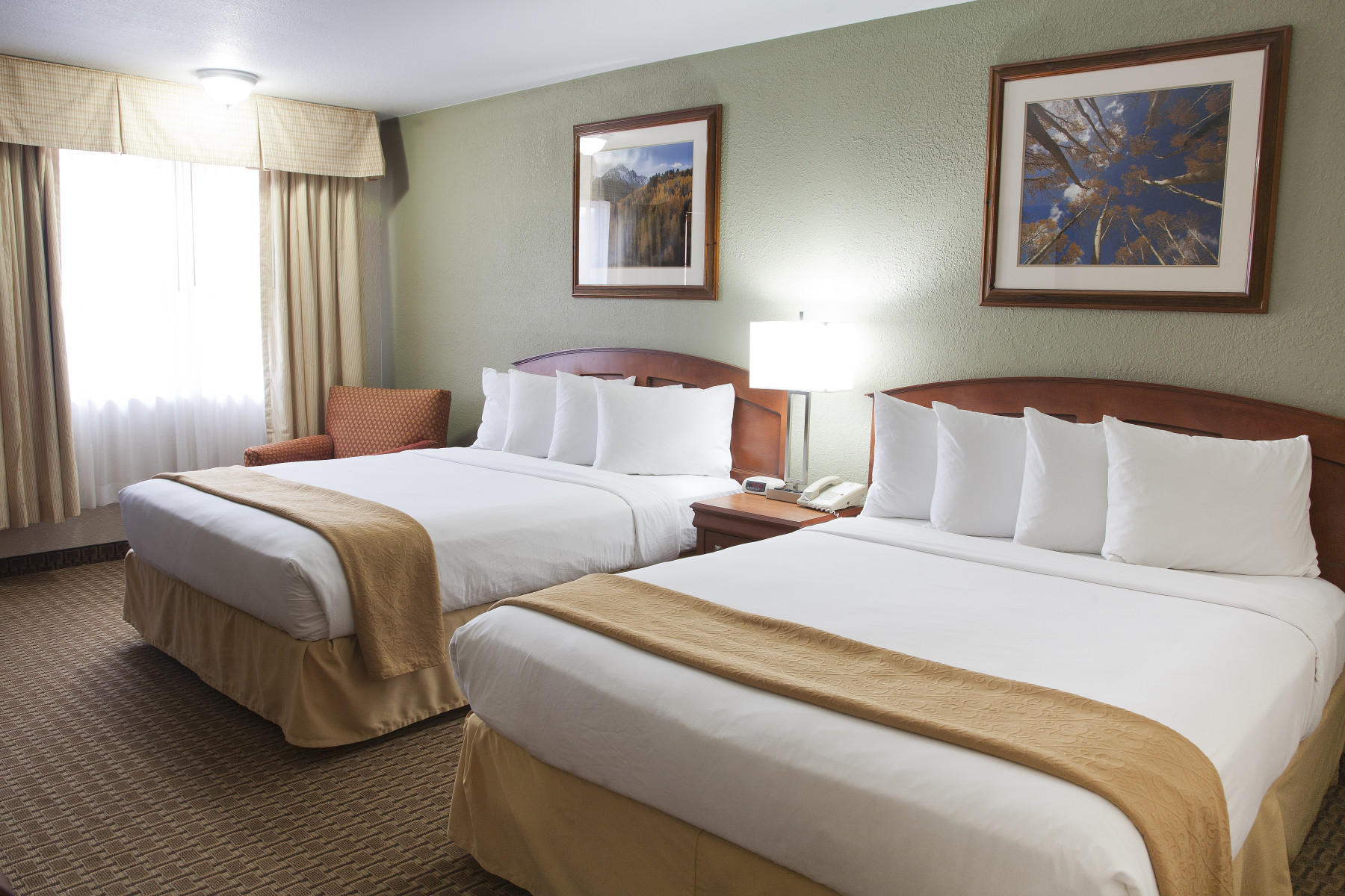 2 queen room photo 7