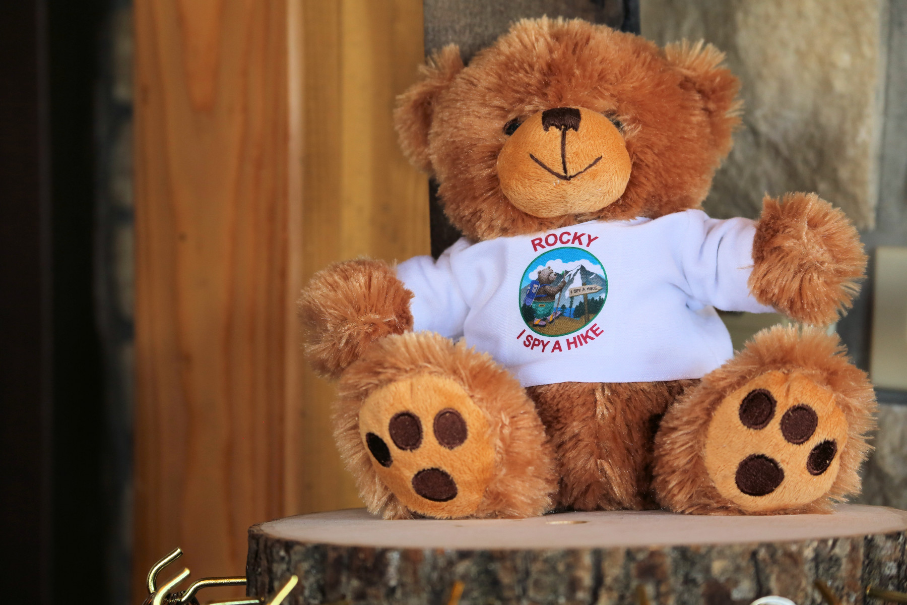 i spy a hike photo 19