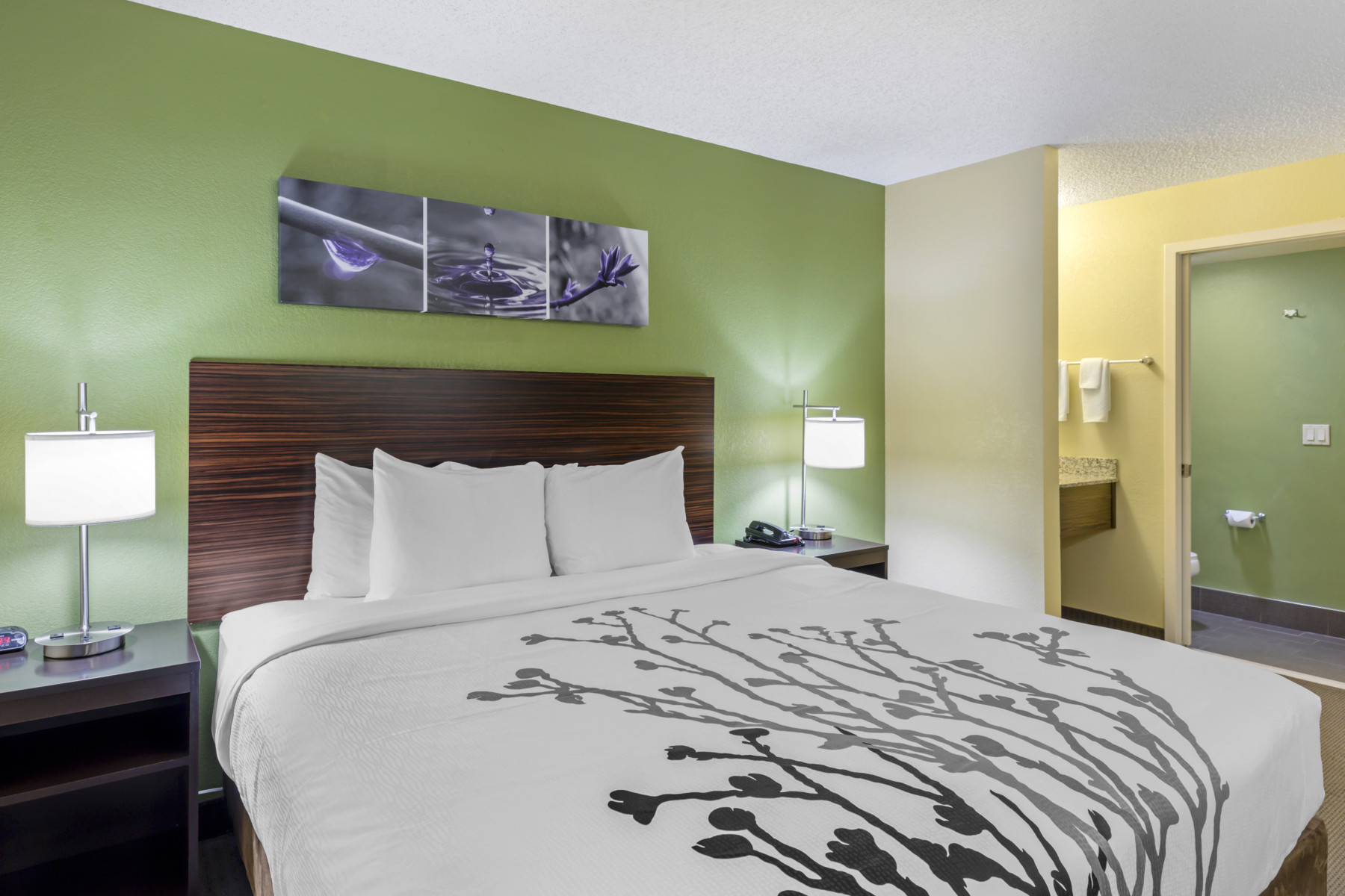 sleep inn denver tech center photo 9