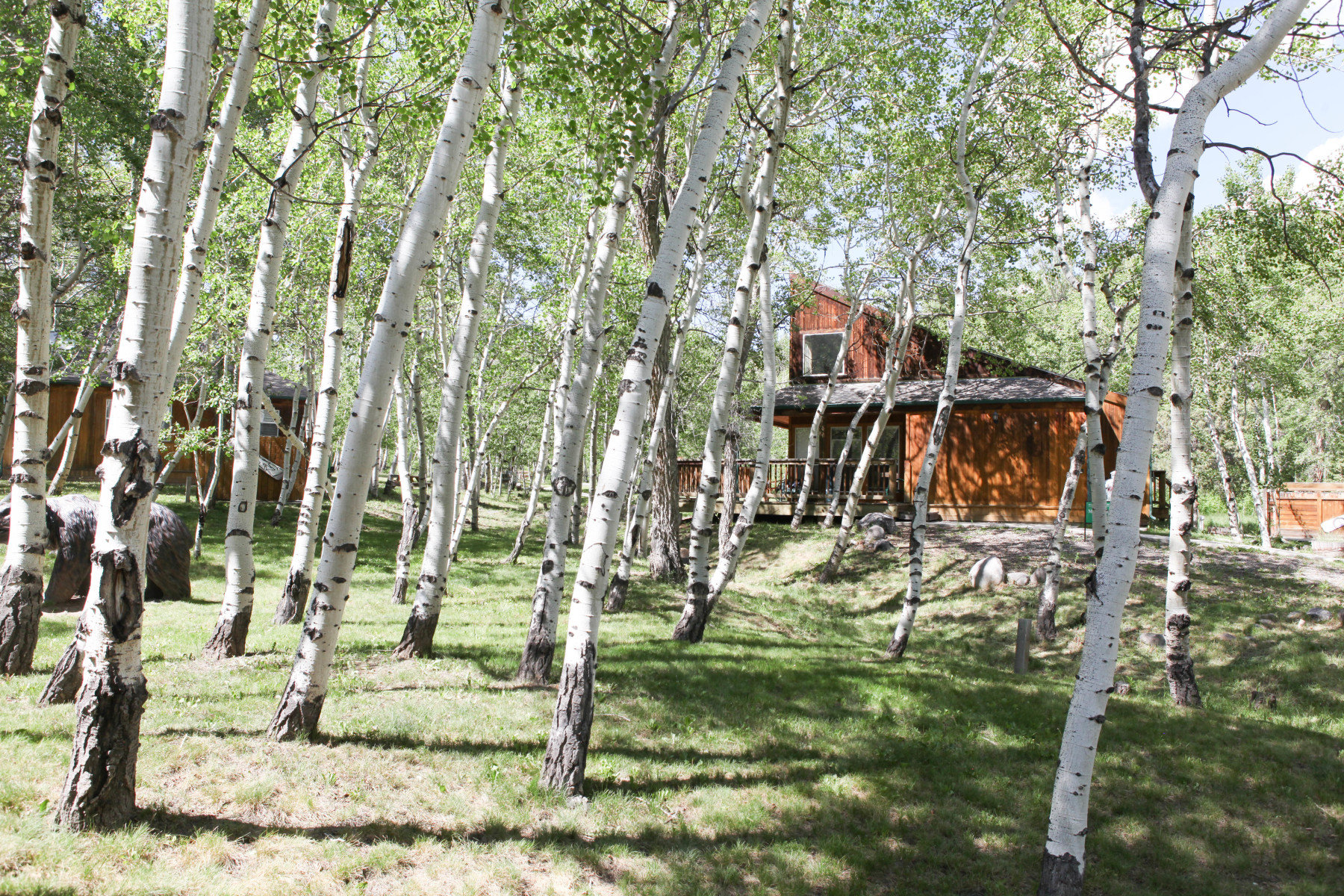 the lush mountain setting and the creekside make the chalets the perfect place for a getaway. photo 14