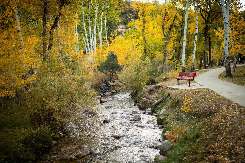 relax by the creek and enjoy being immersed in nature photo 7