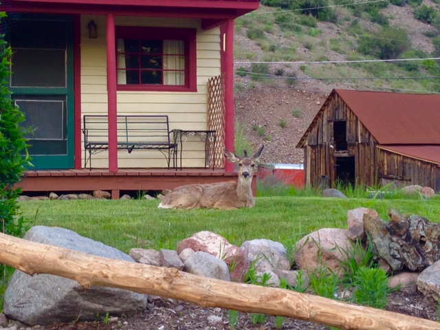 historic cottage with guest photo 4