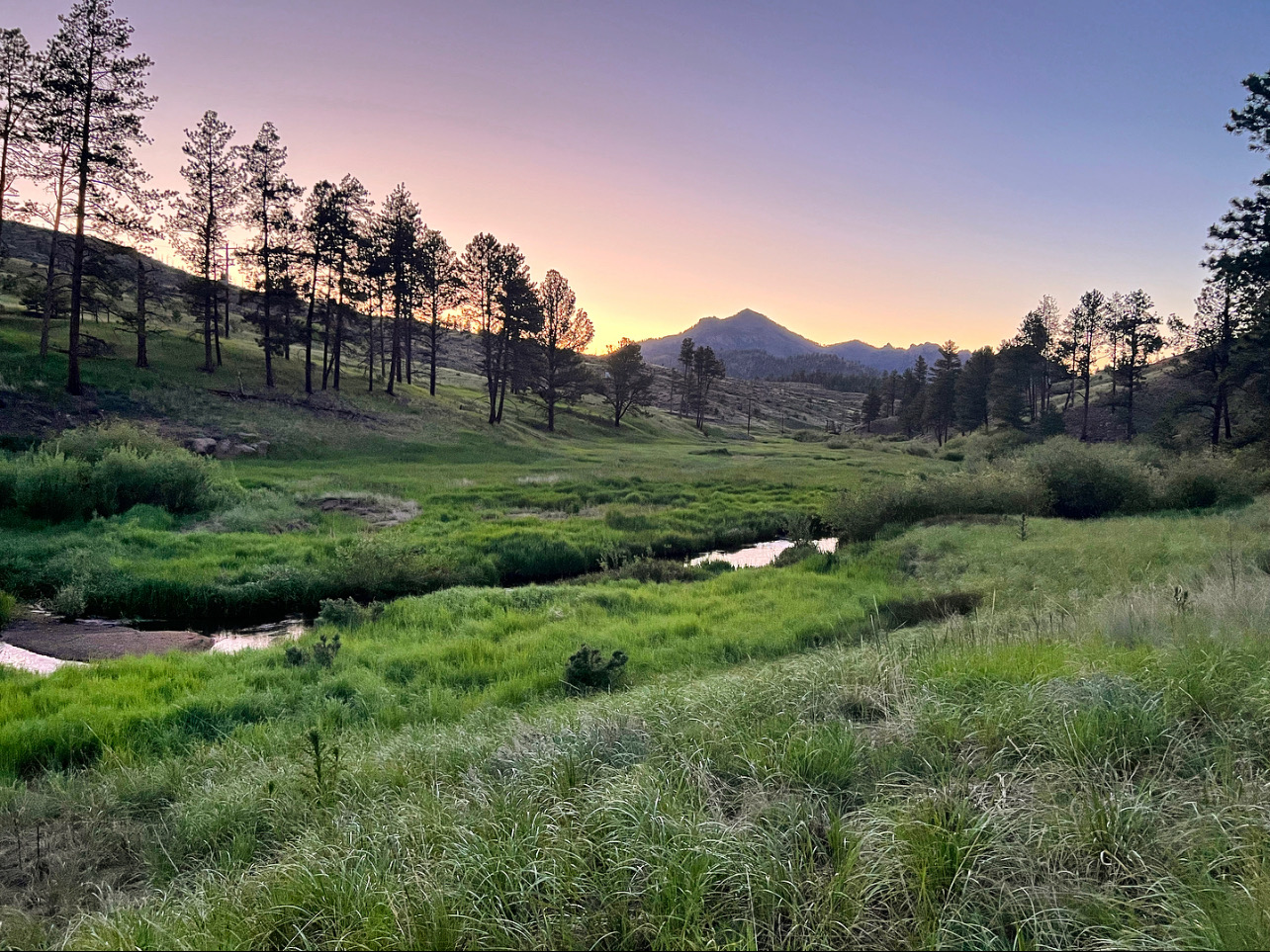 sunset at the creek photo 13