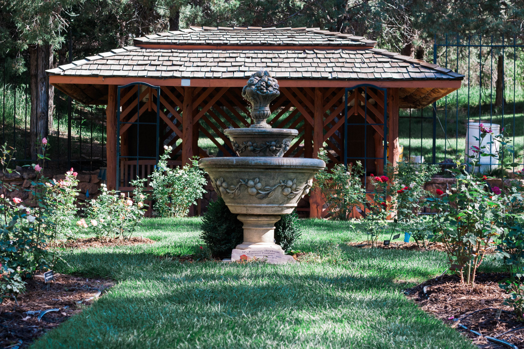 the rose garden photo 4