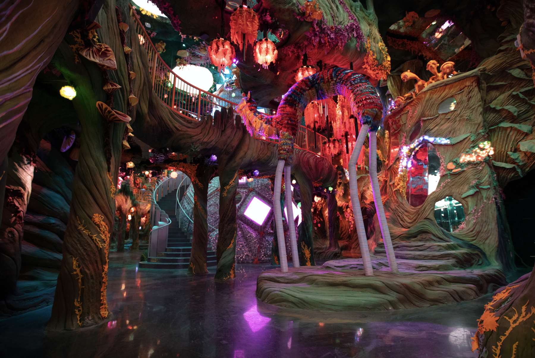 transcend space-time in the vast 6th dimensional landscape of numina! photo