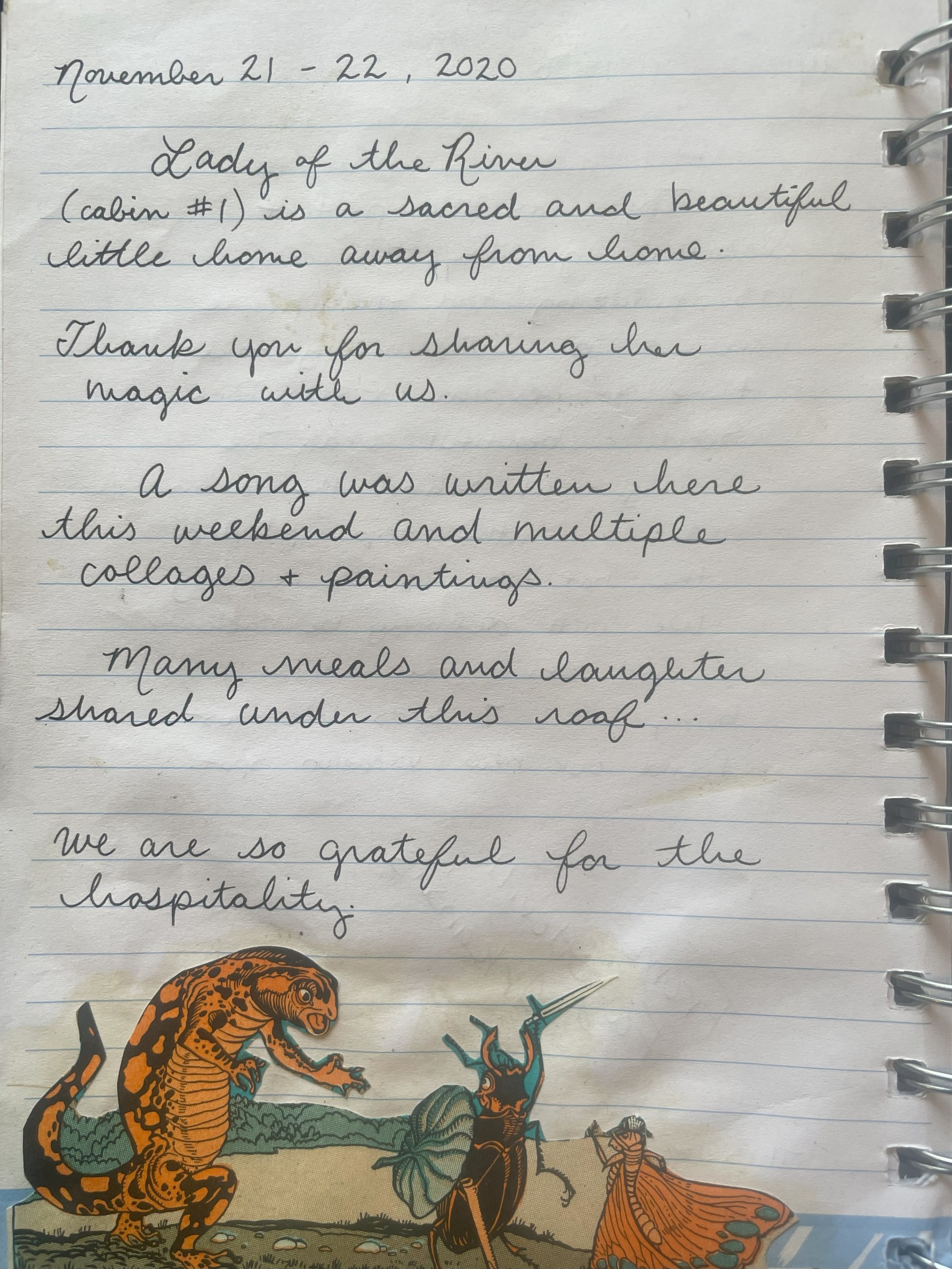 guest review photo 14