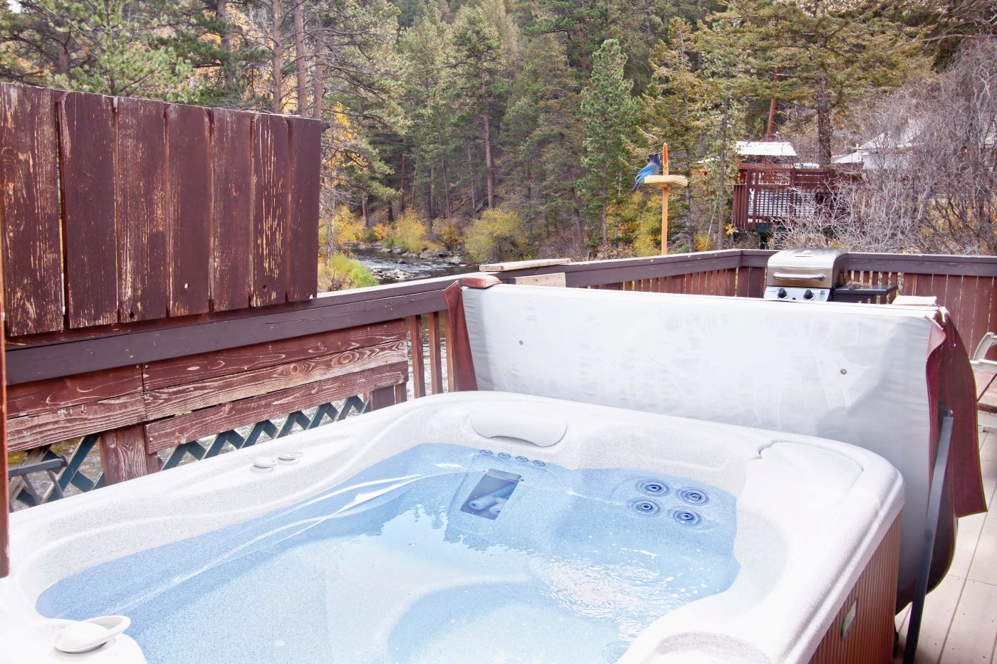 cabin 8, endless stars  photo 9