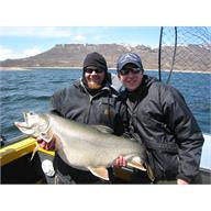 trophy lake trout photo