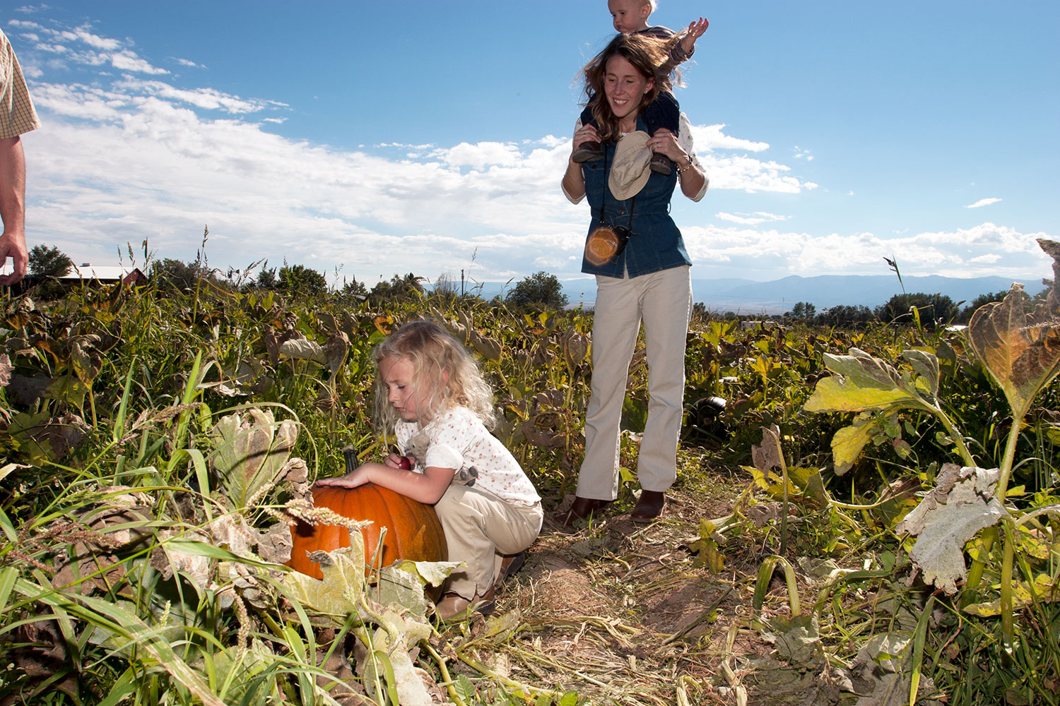 Pumpkin Patches Corn Mazes Farmers Markets Other Fall Fun In Colorado Colorado Com