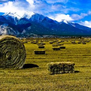 hay bales in field with colorado mountains