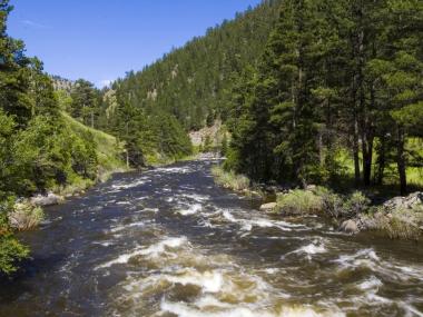Whitewater froth of the Cache la Poudre River