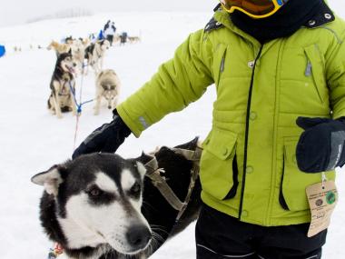Dogsledding is a popular winter activity for visitors in Edwards, Colorado.