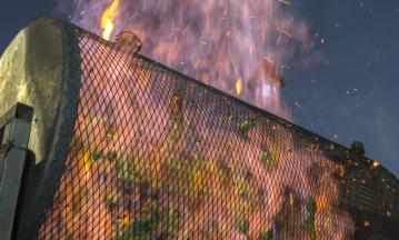 Pueblo Chile & Frijoles Festival Photo