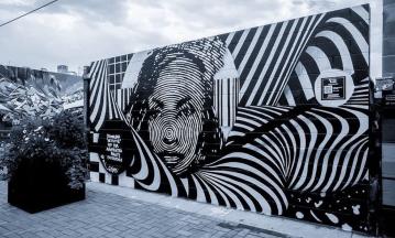 denver walls 2023 photo