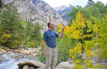 collegiate peaks scenic byway photo