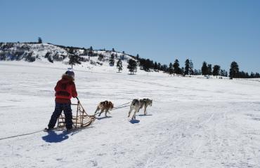Durango Dog Ranch Photo